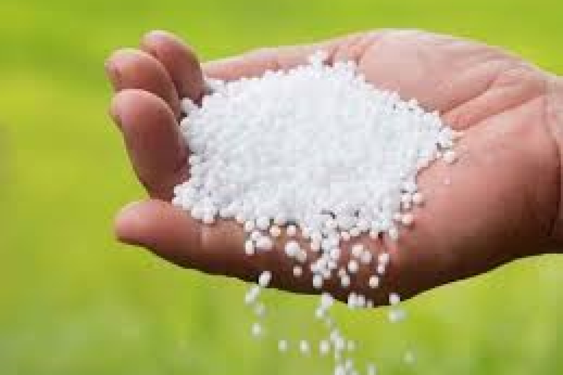 රට තුළ පොහොර සීමිත බැවින් වී වගාවට පමණක් යූරියා ලබාදීමට රජය සැරසෙයි